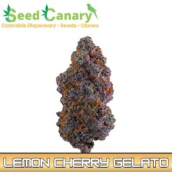 Lemon Cherry Gelato - THCA Cannabis Flower