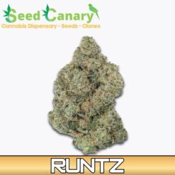 Runtz - THCA Cannabis Flower