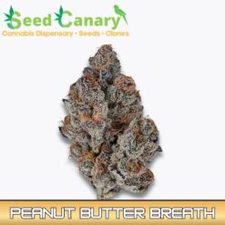 Peanut Butter Breath - THCA Cannabis Flower