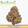 ZOAP - THCA Cannabis Flower