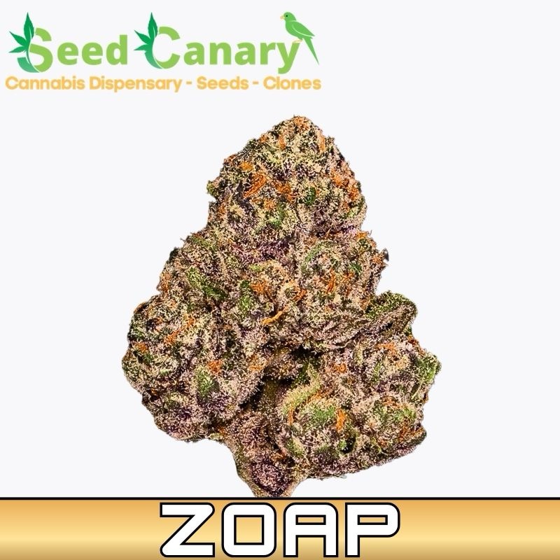ZOAP - THCA Cannabis Flower