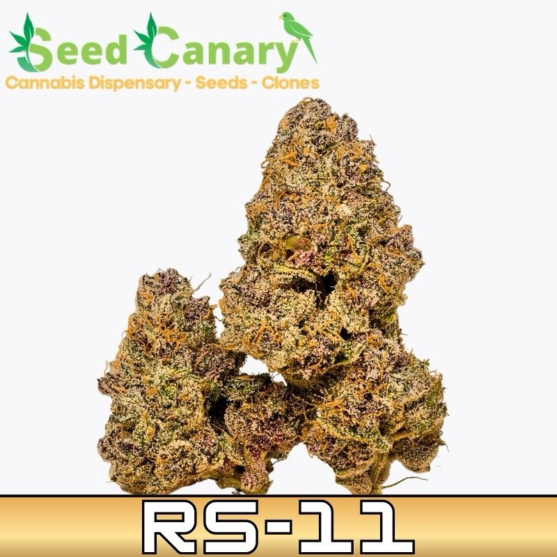 RS-11 - THCA Cannabis Flower