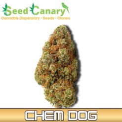 Chem Dog - THCA Cannabis Flower