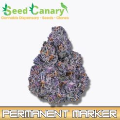 Permanent Marker - THCA Cannabis Flower