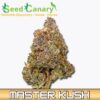 Master Kush - THCA Cannabis Flower