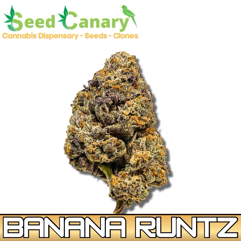 Banana Runtz - THCA Cannabis Flower