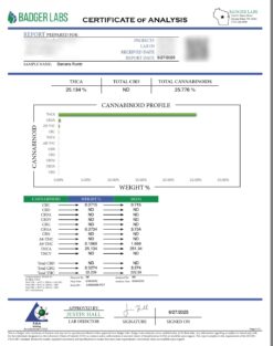 Alternative view of Banana Runtz - THCA Cannabis Flower