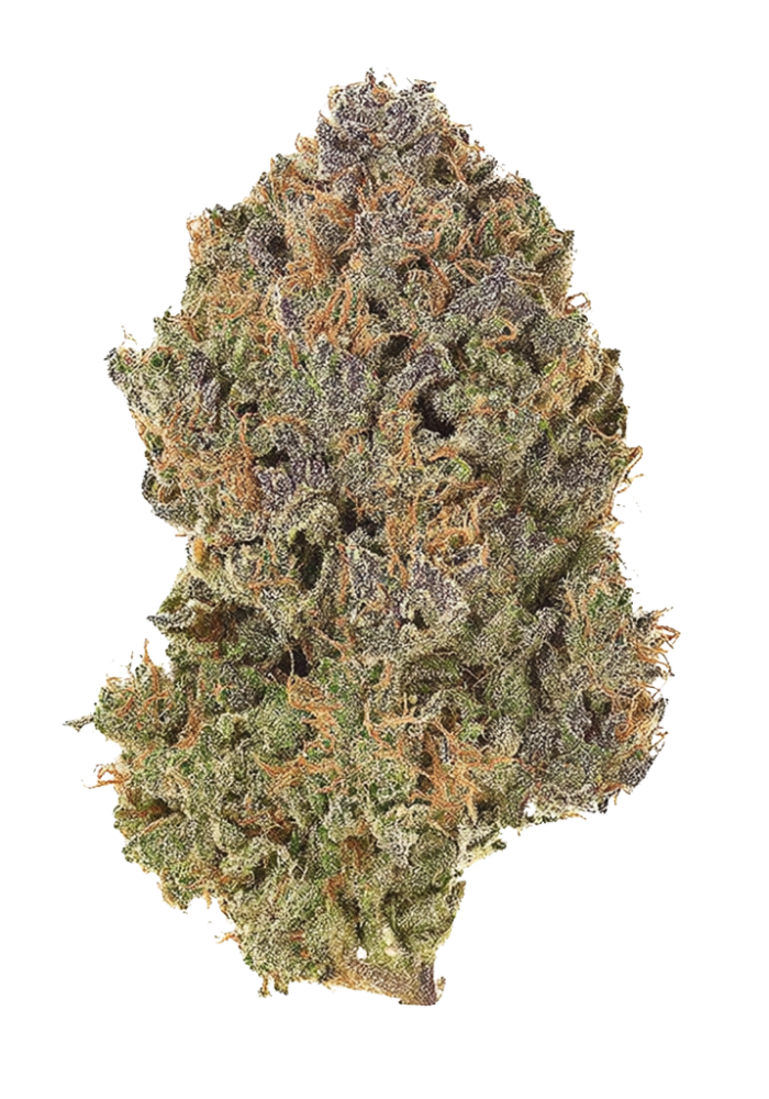 Purple City Genetics - Zowah - Image 3