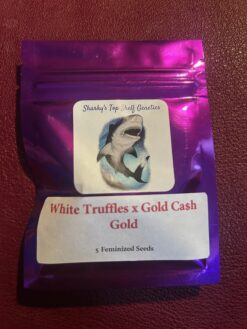 White Truffles x Gold Cash