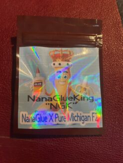 Nana Glue King