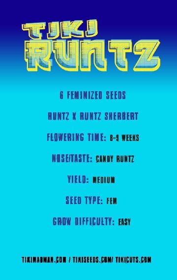 Tiki Runtz by Tiki MadMan (FonkHouse Genetics Cut) - Image 6