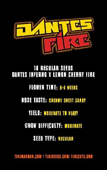 Dantes Fire by Tiki MadMan (FonkHouse Genetics Cut) - Image 4