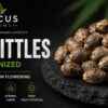 Skittles Feminized Cannabis Seeds
