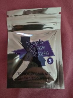 Alternative view of Purple Caper Seeds Rotting Carcass Skunk 5 pack
