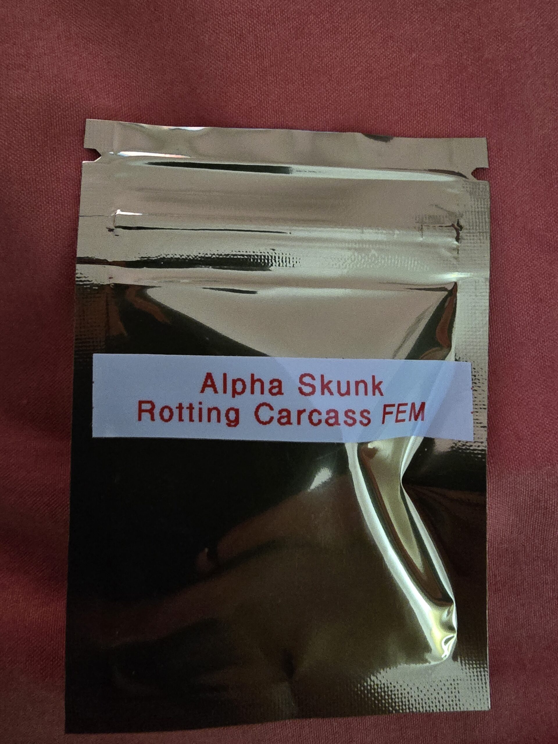 Purple Caper Seeds Rotting Carcass Skunk 5 pack